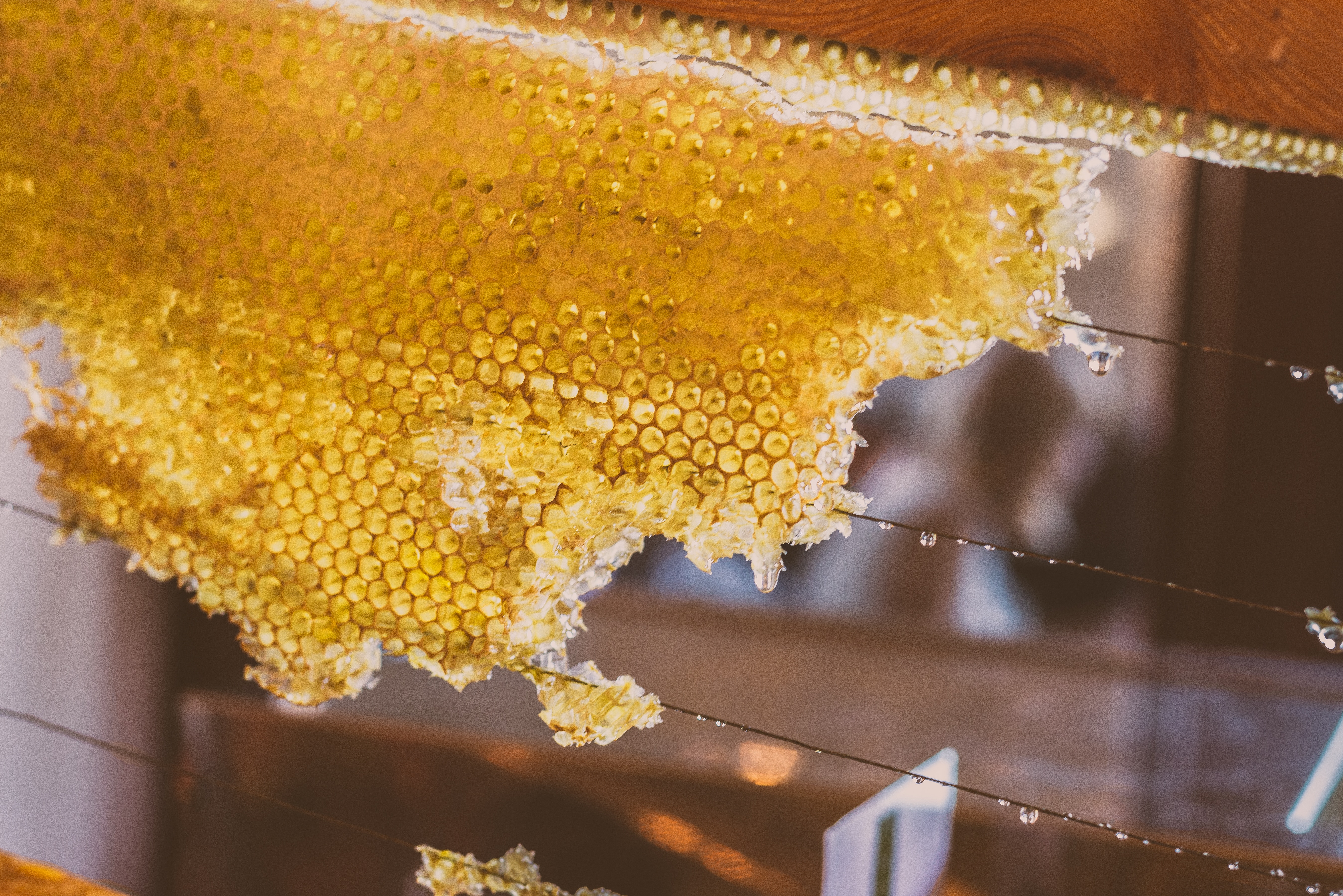 ทำบุญด้วยน้ำผึ้ง 