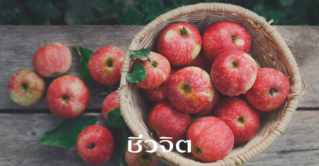 รีวิวแอปเปิ้ล, แอปเปิ้ล, ผลไม้, ประโยชน์ของแอปเปิ้ล, ลดน้ำหนัก, ลดความอ้วน, apple