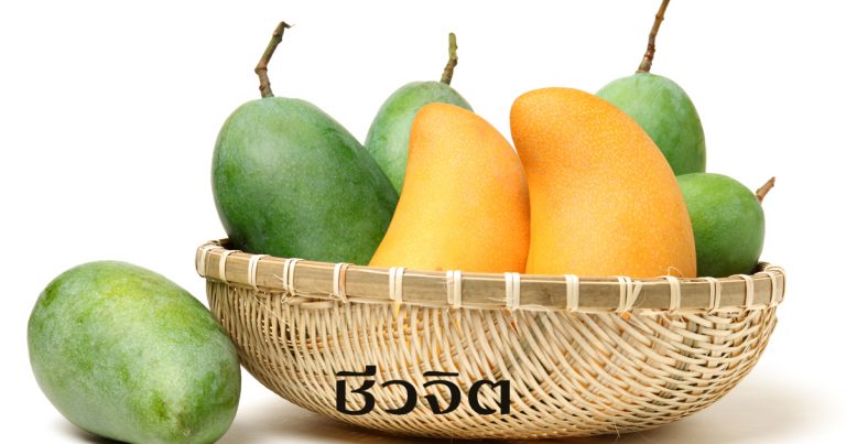 มะม่วง, ผลไม้มีประโยชน์, กินผักผลไม้เพื่อสุขภาพ, ผัก, ผลไม้, กินผักผลไม้