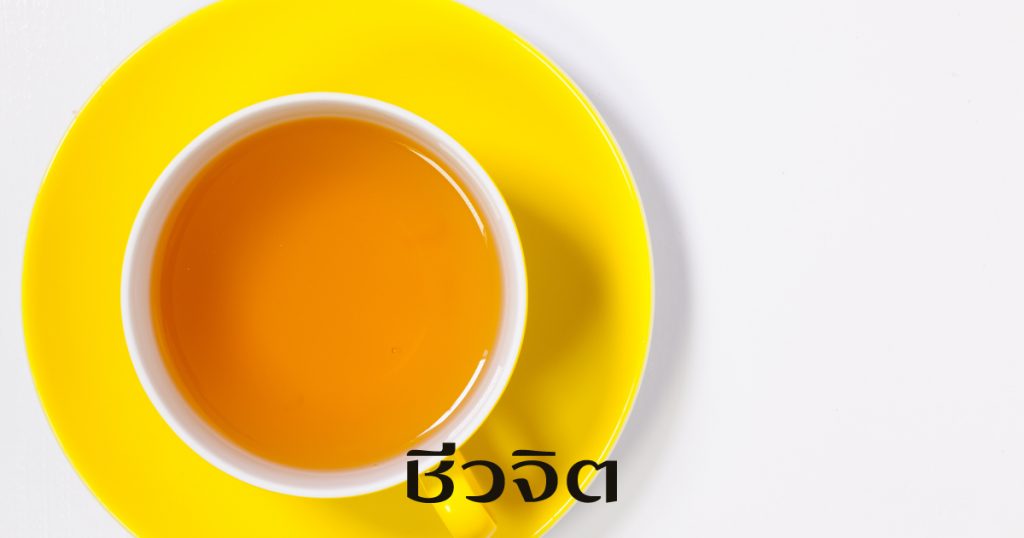 ชาจีนเหลือง, Yellow Tea, นอนไม่หลับ, ชาสมุนไพร, เครื่องดื่มสุขภาพ