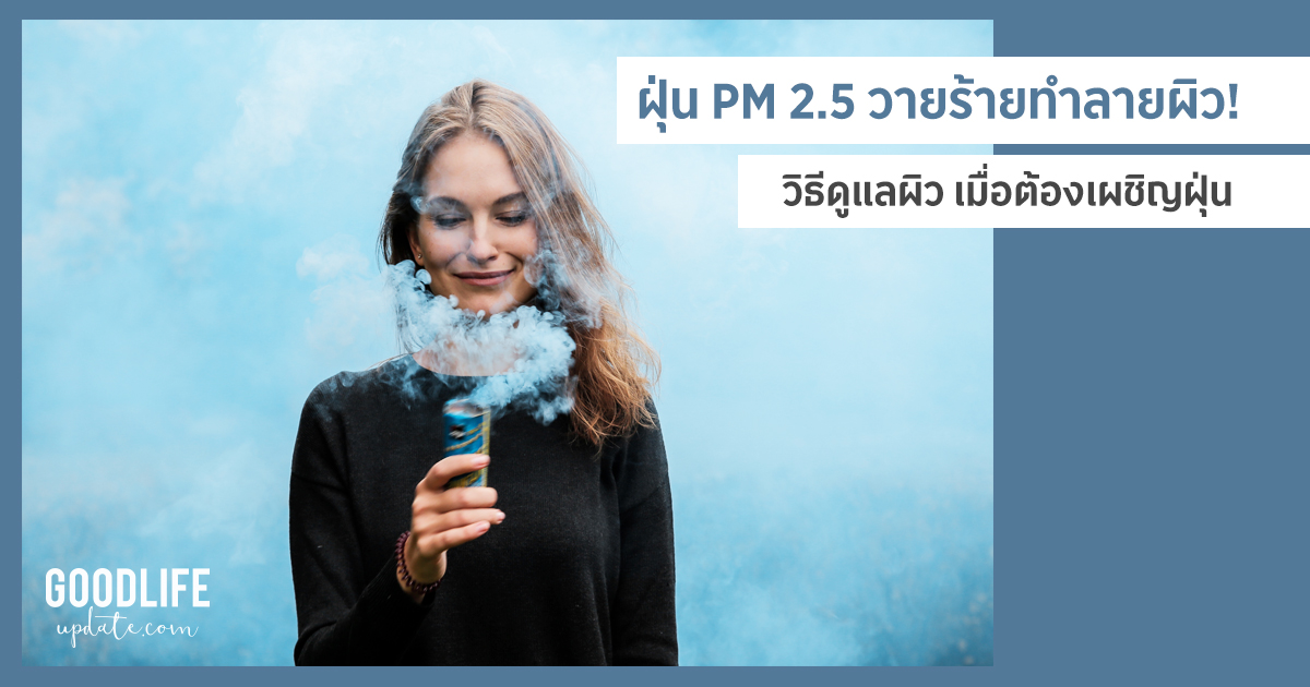 ฝุ่น PM 2.5