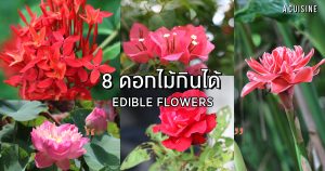 ดอกไม้กินได้ Edible flowers