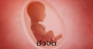 วิธีป้องกันทารกตายในครรภ์ ทารกตายในครรภ์ ตั้งครรภ์ ตั้งท้อง