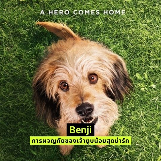 Benji เบนจี้